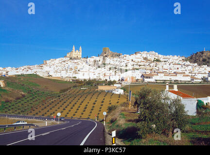 Übersicht. Olvera, Provinz Cadiz, Andalusien, Spanien. Stockfoto