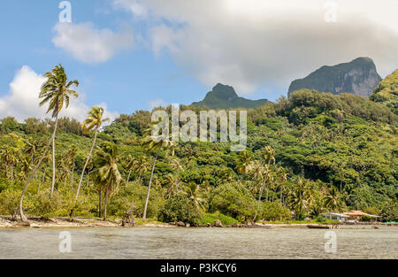 Strand auf der Insel Bora Bora, Französisch-polynesien mit Mt. Otemanu im Hintergrund Stockfoto