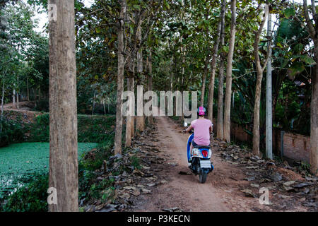 Frau reiten Roller auf der Forststraße, Pai, Mae Hong Bald, Thailand Stockfoto