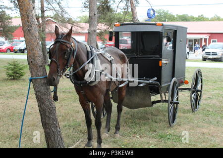 Pferd und Buggy auf der Windmühle in Watkins Glen, New York Stockfoto