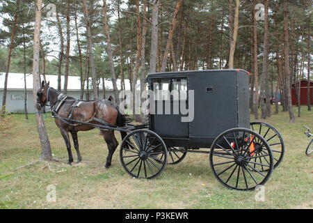 Pferd und Buggy auf der Windmühle in Watkins Glen, New York Stockfoto