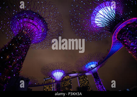 Singapur, Republik Singapur, Asien, lightshow Der Supertrees an Gärten an der Bucht Stockfoto