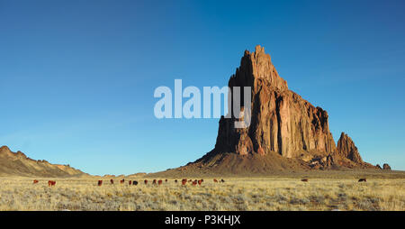 Shiprock Utah Navajo Nation County wüste Rinder Stockfoto