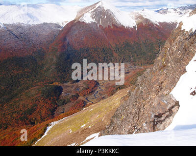 Herbst Farben der subpolaren Buchenwälder der Insel Navarino, Chile - südlichste Wälder der Welt Stockfoto