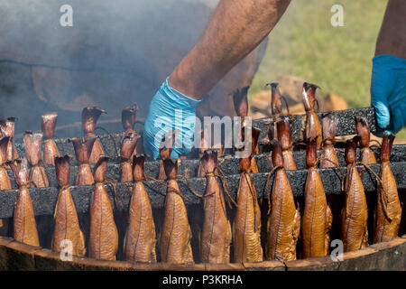 Arbroath Smokies vorbereitet Stockfoto