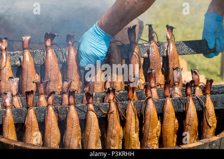 Arbroath Smokies vorbereitet Stockfoto