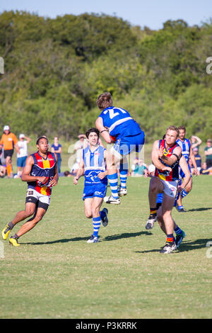 Austin, Texas/USA - Oktober 20, 2013: in den Vereinigten Staaten der Australian Football League nationale Meisterschaft in Austin, Texas. Spieler Hektik für den Ball. Stockfoto