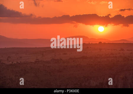 Ein rot rosa Sonnenuntergang, mit der Sonne eine niedrige weiße Kugel unter lila Wolken am Blyde River Canyon in Mpumalanga, Südafrika Stockfoto