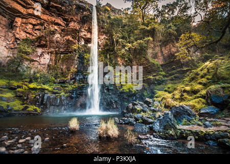 Blick auf die roten Felsen, ein Tauchbecken und Moos und Farn bedeckte Felsen an Lone Creek Falls in Mpumalanga, Südafrika Stockfoto