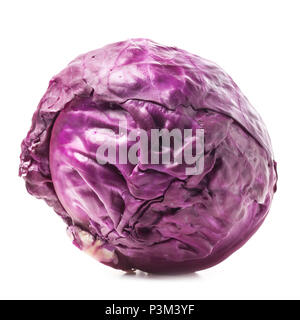 Frischer Rotkohl isoliert auf weißem Hintergrund Stockfoto