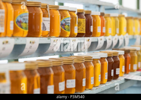 Gläser Honig und Landwirtschaft zeigen beurteilt werden. Großbritannien Stockfoto