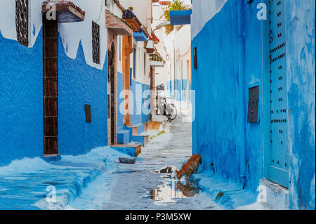 Kleine Straßen in Blau und Weiß in der kasbah der alten Stadt Rabat in Marokko Stockfoto