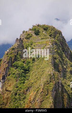 Terrassen und Gebäude auf Huayna Picchu Berg auf Zitadelle Machu Picchu, Peru. Im Jahr 2007 wurde Machu Picchu gewählt, eines der neuen sieben Weltwunder der Wor Stockfoto