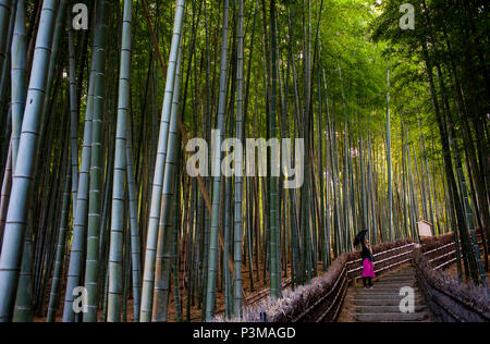 Frau, Bambuswald, in Adashino Nembutsu ji Temple, Arashiyama, Kyoto Stockfoto