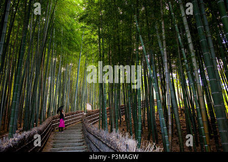 Frau, Bambuswald, in Adashino Nembutsu ji Temple, Arashiyama, Kyoto Stockfoto