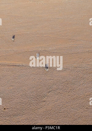 Antenne Landschaft mit thre zebra Klein von oben durch die Ebenen von touristischen Hubschrauberflug über Sossusvlei Namibia gesehen galoppieren. Stockfoto