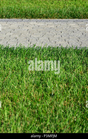 Ein schöner neuer Gehweg aus Stein befindet sich in den grünen Gras entfernt Stockfoto