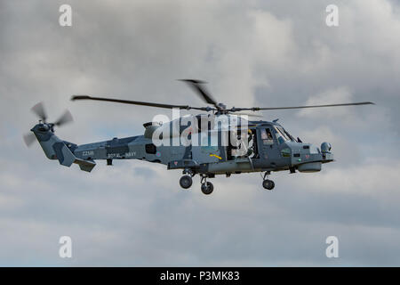 Die britische Royal Navy Wildcat HMA 2 Heli im Flug bei der RNAS Yeovilton International Air Tag, Großbritannien am 11. Juli 2015. Stockfoto