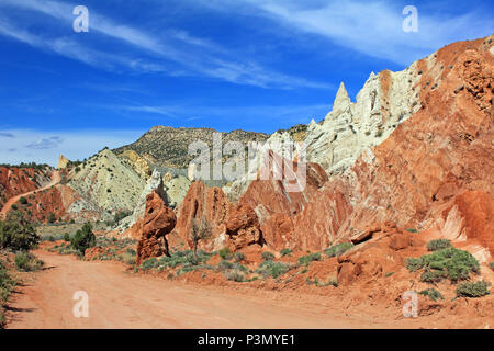 Cottonwood Canyon Road, Utah Stockfoto