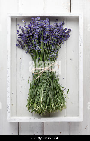 Lavendel Blumen Blumenstrauß auf weißem Holzbohlen Stockfoto