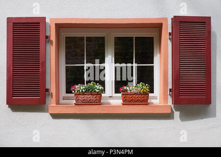 Zwei Blumentöpfe auf der alten Fenster mit Fensterläden aus Holz auf weißem Stuck Wand Stockfoto