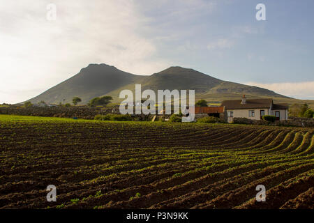 Eines gepflügten Feld für die Aussaat am Fuße der Mourne Mountains in der Nähe von Wicklow im County Down in Nordirland bereit Stockfoto