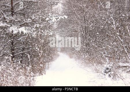 Eine winterliche Blick auf den Straßen von Mitte - Michigan Stockfoto