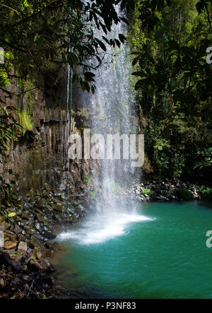 Wasser Kaskadierung über eine Klippe an der Millaa Milla Wasserfall im tropischen Norden von Queensland, Australien in der Nähe von Cairns. Stockfoto