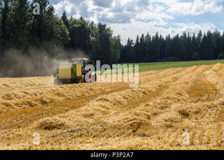 Traktor auf dem Feld - der Ernte der Mais Stockfoto