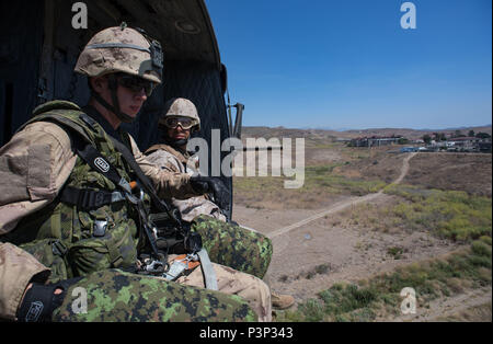 San Diego (22 Juli 2016) - die Chilenische 1 Fallschirmjäger Bataillon Soldaten und Mitglieder vom 2.Bataillon, Royal 22 Régiment, Durchführung Hubschrauber insertion Abseilen aus der Royal Canadian Air Force CH-146 Griffon Hubschrauber während der Pacific Rim 2016 in Camp Pendleton in San Diego, Kalifornien. 26 Nationen, mehr als 40 Schiffe und u-Boote, mehr als 200 Flugzeugen und 25.000 Mitarbeiter an Rimpac vom 30. Juni bis 4. August, in und um die hawaiischen Inseln und Südkalifornien. Die weltweit größte internationale maritime Übung RIMPAC bietet eine einzigartige Ausbildung oppo Stockfoto