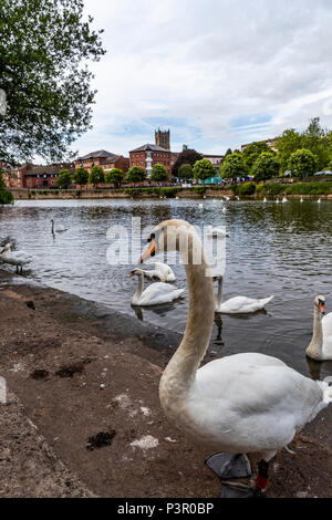 South Quay, Worcester, Großbritannien. Arts Project der Ring eine Pailletten Abdeckung Bühne für das Festival durch den Fluss beauftragt wurde, für den Kanal & Flüsse Vertrauen. Stockfoto
