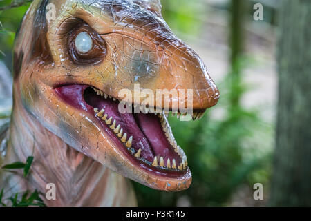 Offener Mund mit scharfen Zähnen der Velociraptor Dinosaurier Statue Stockfoto