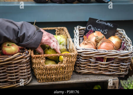 Älterer Mann herauf frische Früchte von einem Weidenkorb auf einem Bauernmarkt in Cornwall, Großbritannien Stockfoto