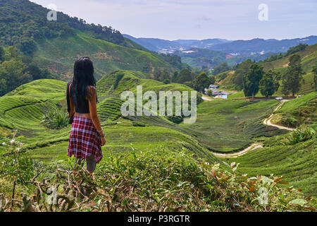 Weibchen in Cameron Highlands Teeplantage in Malaysia Stockfoto