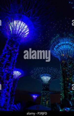 Supertrees in Gardens by the Bay in Singapur Stockfoto