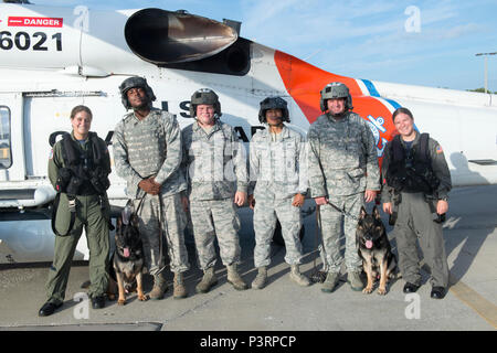 Mitglieder von Coast Guard Air Station Clearwater, Fla., Team, mit Mitgliedern aus der Air Force 6 Security Forces Squadron, militärische Gebrauchshund Division, MacDill Air Force Base, Tampa, Fla. Hunde- Ausbildung an der Air Station, zu führen Freitag, 29. Juli 2016. Das Training hilft den Hunden für die Sehenswürdigkeiten und Klänge von einem Hubschrauber Vorbereitung vor der Bereitstellung. (U.S. Coast Guard Foto von Petty Officer 2. Klasse Ashley J. Johnson) Stockfoto