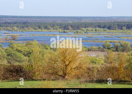 Antenne Landschaft panorama Blick auf Desna River mit überfluteten Wiesen und Felder. Blick vom hohen Ufer auf der jährlichen Frühjahrstagung Überlauf. Novgorod-Siversky, Ukraine. Stockfoto