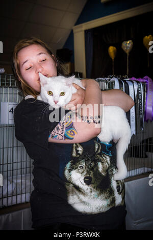 Eine Katzenausstellung in einem lokalen Dorfhaus mit Besitzern und Katzen einige in Käfigen einige gehalten werden oder auf Stühlen sitzen. Stockfoto