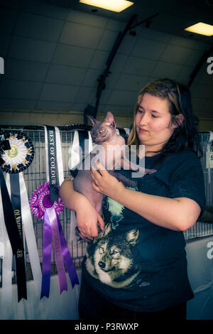 Eine Katzenausstellung in einem lokalen Dorfhaus mit Besitzern und Katzen einige in Käfigen einige gehalten werden oder auf Stühlen sitzen. Stockfoto