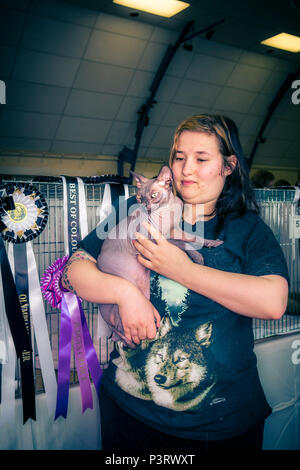 Eine Katzenausstellung in einem lokalen Dorfhaus mit Besitzern und Katzen einige in Käfigen einige gehalten werden oder auf Stühlen sitzen. Stockfoto