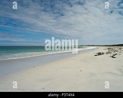 dh Whitemill Bay Beach SANDAY ORKNEY Schottland nördliche Insel abgelegene Strände niemand leere Küste weißer Sand großbritannien schottische Inseln Inseln Sand sandige Küste Stockfoto