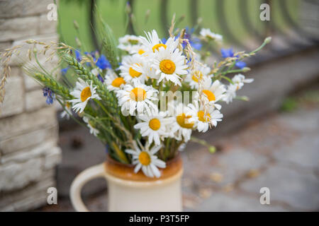 Mittsommer in Lettland: Feier der Ligo im Juni Home Dekorieren mit Blumen Bouquet Stockfoto