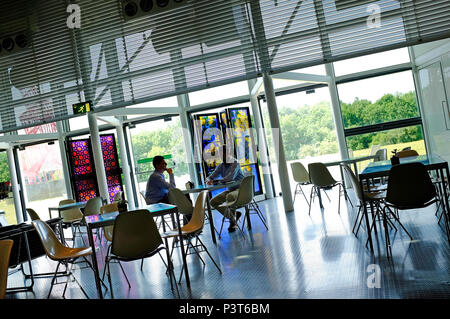 Cafe in der sainsbury Centre, UEA, Norwich, Norfolk, England Stockfoto