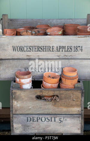 Alte Terrakotta Blumentöpfe und alten Holzkisten eine Blume zeigen. Großbritannien Stockfoto