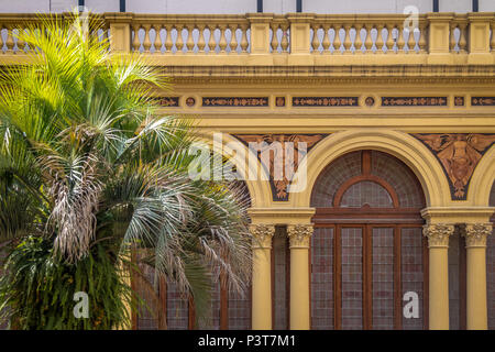 Detail der Palme Innenhof (Patio de las Palmeras) im Casa Rosada Präsidentenpalast - Buenos Aires, Argentinien Stockfoto