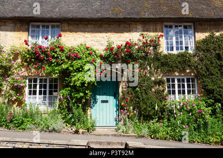 Rose gedeckten Reetdachhaus in Country Village, Ebrington, die Cotswolds, Gloucestershire, England, Vereinigtes Königreich, Europoe Stockfoto