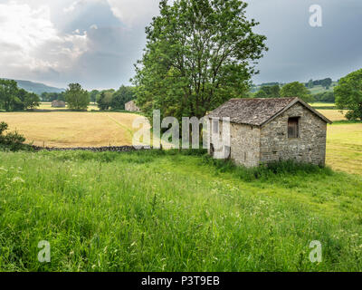 Feld Scheune in der Nähe von West Burton in Wensleydale Yorkshire Dales England Stockfoto