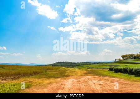 Chiang Rai, Thailand - 12. März 2017: Singha Park Chiang Rai. Agro-tourismus Ziel konzentriert sich auf die Entwicklung eines nachhaltigen Tourismus. Stockfoto