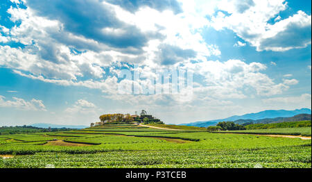 Chiang Rai, Thailand - 12. März 2017: Singha Park Chiang Rai. Agro-tourismus Ziel konzentriert sich auf die Entwicklung eines nachhaltigen Tourismus. Stockfoto