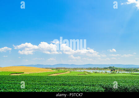 Chiang Rai, Thailand - 12. März 2017: Singha Park Chiang Rai. Agro-tourismus Ziel konzentriert sich auf die Entwicklung eines nachhaltigen Tourismus. Stockfoto